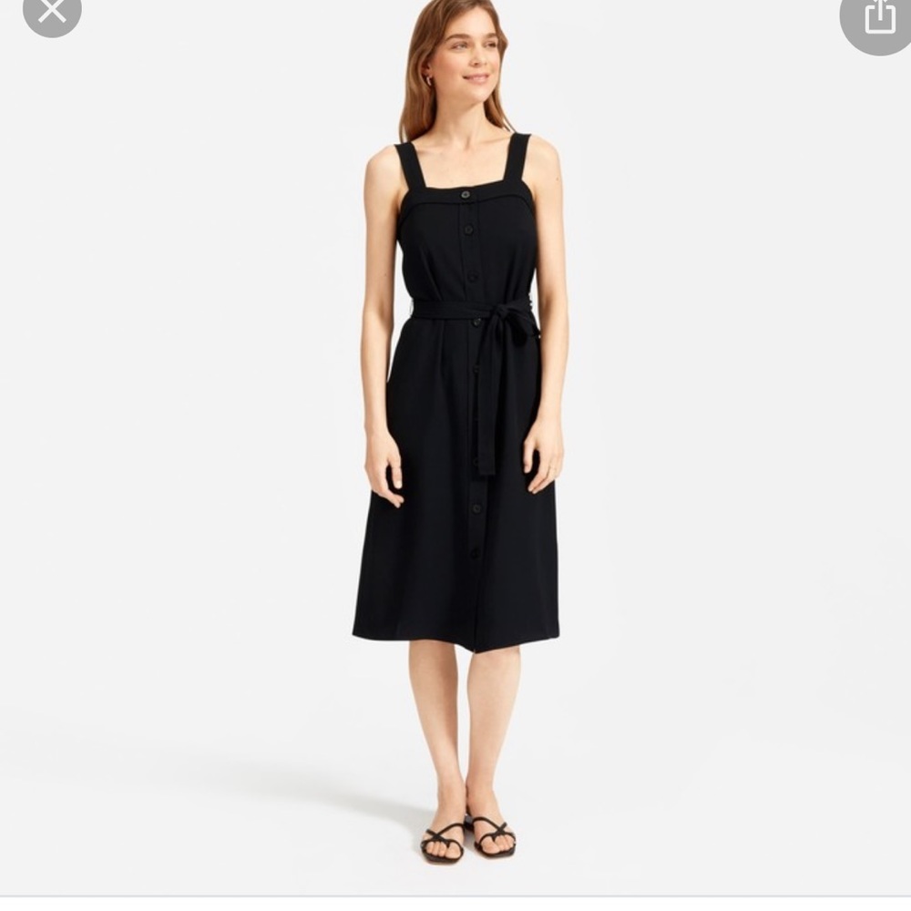 Everlane Japanese GoWeave Black Picnic Dress